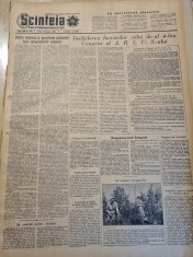 scanteia 11 octombrie 1955-art. pitesti,mina petrila,cluj,deleni iasi foto