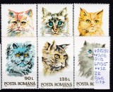 1993 Pisici LP1315 MNH Pret 2,9+1 Lei, Fauna, Nestampilat