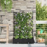 Jardiniere de grădină cu spalier, 2 buc., negru, 80x80x125.5 cm