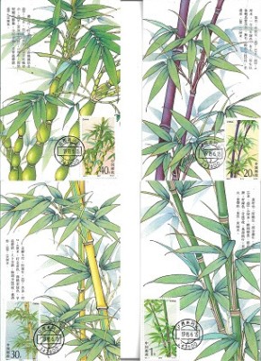 C5585 - Flora - China 1993 - 4 carti maxime,serie completa foto