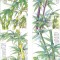 C5585 - Flora - China 1993 - 4 carti maxime,serie completa