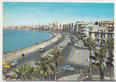 bnk cp Egipt - Alexandria - Faleza - Kruger 742/4 - necirculata foto