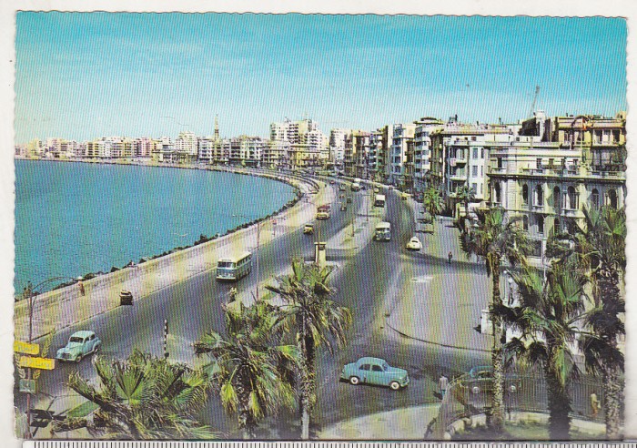 bnk cp Egipt - Alexandria - Faleza - Kruger 742/4 - necirculata