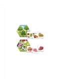 Joc pentru dezvoltarea cunostintelor despre natura: De unde provin alimentele?