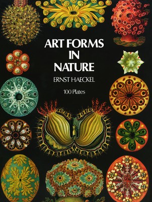 Art Forms in Nature foto