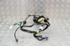 Cablaj ușă dreapta față DODGE RAM 1500 Pick-up DJ, DS 2018 OEM: 16238C0,7184-4232 | 13886003
