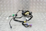 Cablaj ușă dreapta față DODGE RAM 1500 Pick-up DJ, DS 2018 OEM: 16238C0,7184-4232 | 13886003