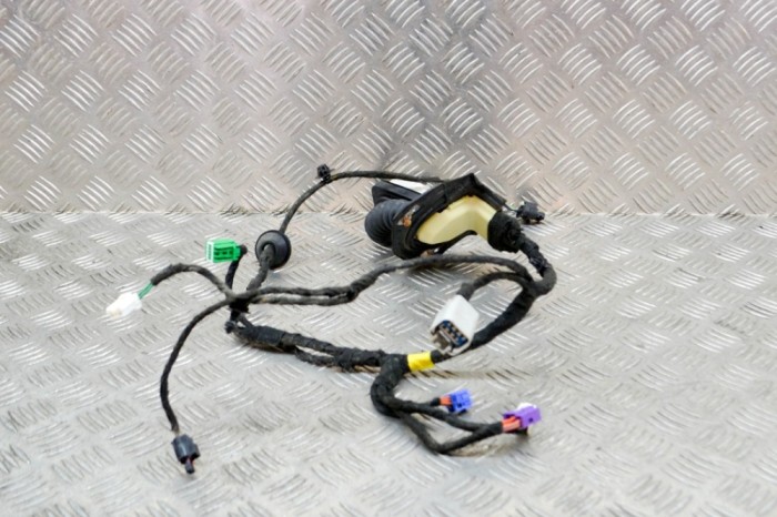 Cablaj ușă dreapta față DODGE RAM 1500 Pick-up DJ, DS 2018 OEM: 16238C0,7184-4232 | 13886003