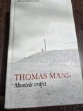 Thomas Mann - Muntele vrajit