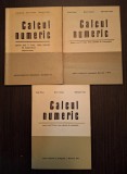 CALCUL NUMERIC PENTRU ANUL II, III SI IV DE LICEU - VIRGIL BRISCA, BUCUR IONESCU