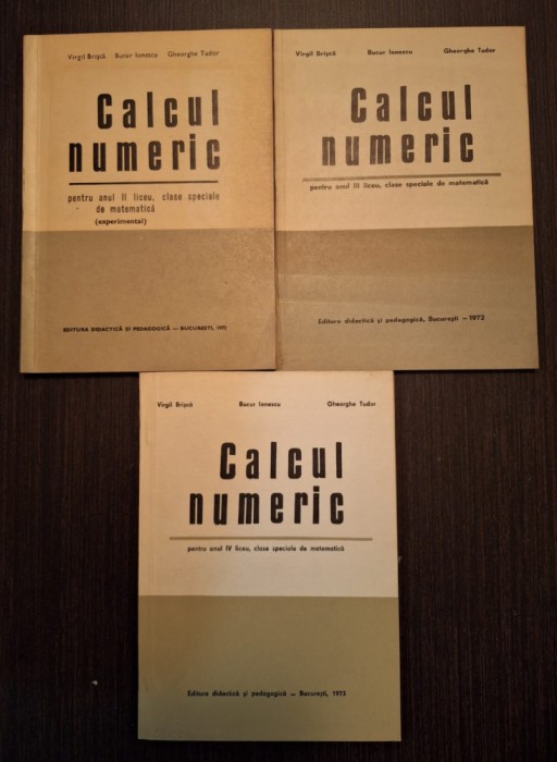 CALCUL NUMERIC PENTRU ANUL II, III SI IV DE LICEU - VIRGIL BRISCA, BUCUR IONESCU