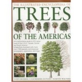Illustrated Encyclopedia of Trees of the Americas