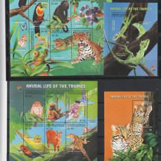 Fauna ,animale care traiesc la Tropice,Grenada si Mica Martinica.