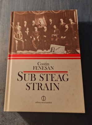 Sub steag strain Costin Fenescu foto