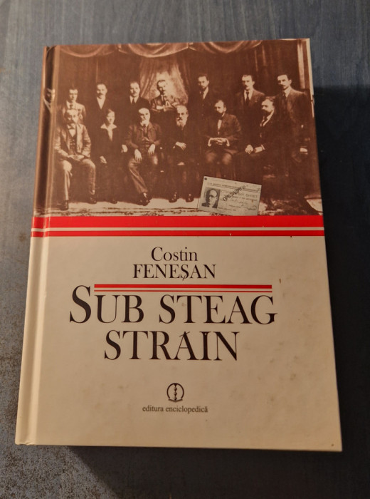 Sub steag strain Costin Fenescu
