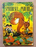 Spiridusul padurii. Ilustratii: Liliana Rosianu. Editura Ion Creanga, 1974 - M. Georgescu