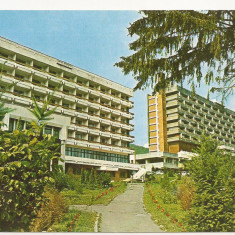 Carte Postala veche -Caciulata-Complexul Sanatorial 1986 , necirculata