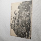 Carte postala Deva