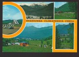 CPIB 21984 - CARTE POSTALA - STATIUNEA CLIMATERICA CHEIA, MOZAIC, NECIRCULATA