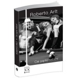 Cei sapte nebuni | Roberto Arlt