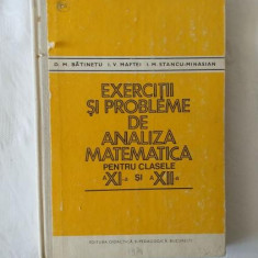 D. M. Batinetu I. V. Maftei I. M. Stancu -Minasian - Exercitii si probleme de analiza matematica pentru clasele XI - XII