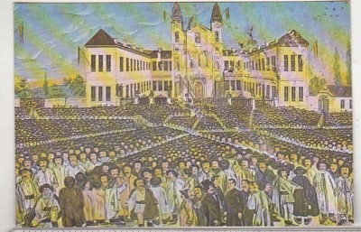 bnk cp Blaj - Adunarea nationala de pe Campia Libertatii - necirculata foto