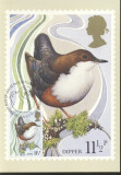 Great Britain 1980 Birds, Maximum card E.176