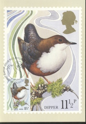 Great Britain 1980 Birds, Maximum card E.176 foto