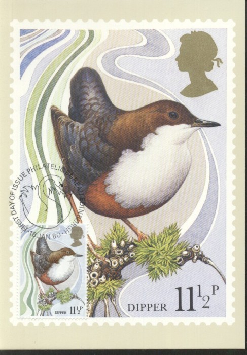 Great Britain 1980 Birds, Maximum card E.176