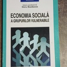 Economia sociala a grupurilor vulnerabile- Doru Buzducea