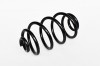Arc Suspensie Spate 65958 NGH 02.03.026