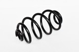 Arc Suspensie Spate 65958 NGH 02.03.026