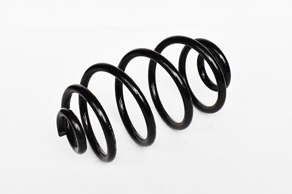 Arc Suspensie Spate 65958 NGH 02.03.026