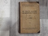 Ce poate ajunge un meserias roman de N.Iorga