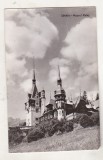 bnk cp Sinaia - Muzeul Peles - circulata