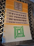 Culegere de probleme de geometrie - Gheorghe Schneider, Cristian Schneider