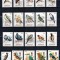 Aitutaki 1984, Mi #505-524, fauna, pasari, MNH, cota 75 &euro;!