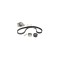 Set pompa apa + curea dintata CITROEN ZX N2 DAYCO KTBWP1651