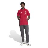 FC Liverpool tricou polo red - S