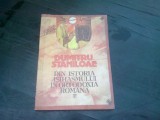 DIN ISTORIA ISIHASMULUI IN ORTODOXIA ROMANA , DUMITRU STANILOAE