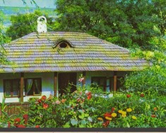 CPI B12522 CARTE POSTALA - IASI. BOJDEUCA LUI ION CREANGA