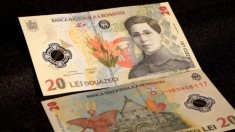Bancnote de 20 lei foto