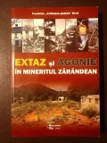 Grigorie Verdeș (coord.) - Extaz și agonie &icirc;n mineritul zărăndean