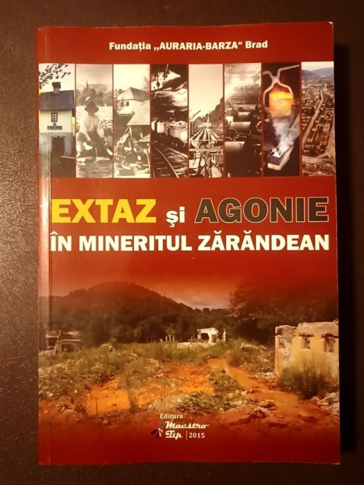 Grigorie Verdeș (coord.) - Extaz și agonie &icirc;n mineritul zărăndean