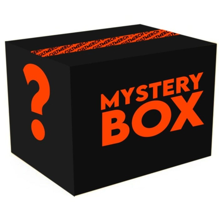 💥 Black Friday Mystery Box &ndash; Surprize Explozive! - Mediu - 499.99