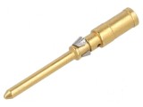 Pin tată cu cupru aurit 1,5mm2 16AWG CD contacte &icirc;ntoarse