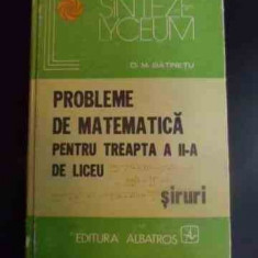 Probleme De Matematica Pentru Treapta A Ii-a De Liceu Siruri - D. M. Batinetu ,542375