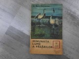 Minunata lume a pasarilor de I.Bordeianu