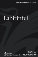 Labirintul - Ileana Moroianu