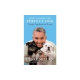 How to Raise the Perfect Dog: Through Puppyhood and Beyond